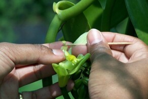 10 увлекательных фактов о жизни в прошлом и настоящем