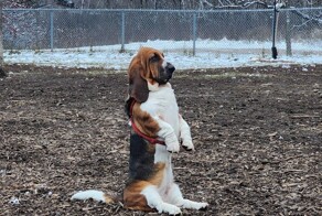 На общую тему 