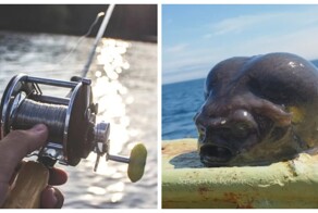 "Инопланетянин" из глубин: рыбак поймал странное существо