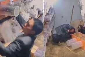 Неосторожный мужчина случайно выпустил насекомых