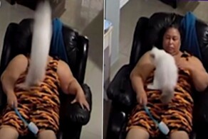 Мягкая посадка кошки