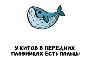 А вдруг ты не знал…