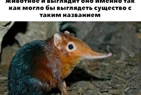 Не ищите здесь смысл. Здесь в основном маразм