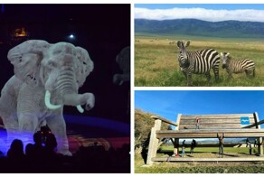 35 самых ярких впечатлений из путешествий, которыми поделились туристы