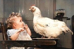 Удивительные и забавные фотографии с животными