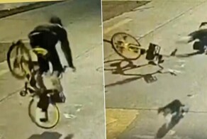 Кошка сбила велосипедиста и скрылась с места ДТП