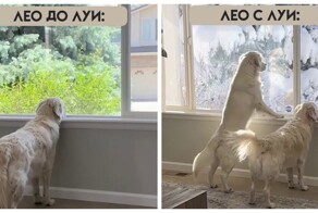 Хорошо, когда есть друзья