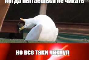 Американец чуть не умер во время чихания