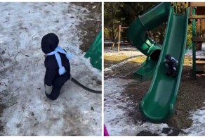 Обезьянка на зимней прогулке