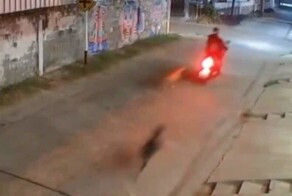 Хозяин собак, спровоцировавших аварию, предложил сесть в тюрьму вместо них