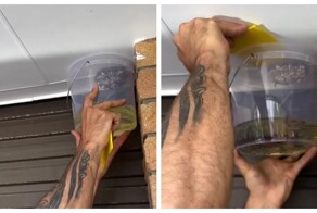 Оригинальный способ избавиться от осиного гнезда