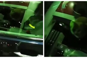 Подстава от кота