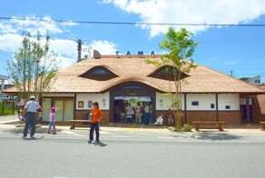 Станция Киши – памятник, посвящённый хвостатой начальнице станции