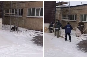 Ловля кабанчика в Башкирии