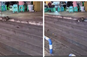 Чувство, будто упустил что-то важное