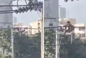 Чудак использовал провода электропередачи в качестве уличного тренажёра