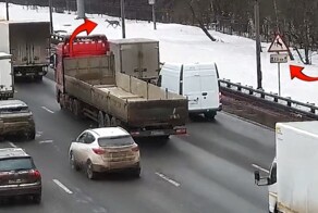 Олень на МКАДе