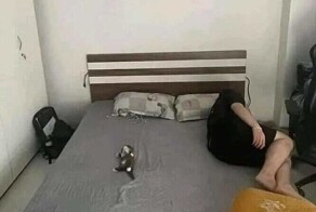 17 забавных животных, которые сделают этот день светлее