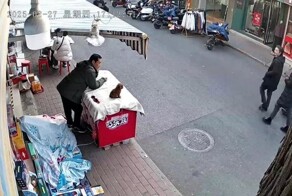 Щенок едва не попал под мотоцикл