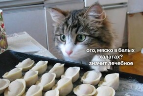 Через четверть века больше половины населения Земли будут с избыточной массой тела