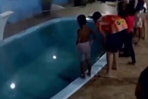 Мальчик столкнул своего брата в бассейн с крокодилом