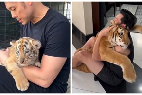 Дрессировщик показал историю дружбы его собаки и тигрёнка, которого он приютил несколько лет назад