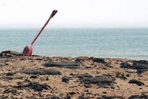 Власти Анапы требуют взыскать 211 млн рублей с владельцев танкеров «Волгонефть»