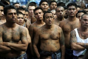 Власти Колумбии попросили ООН исключить коку из списка запрещённых веществ