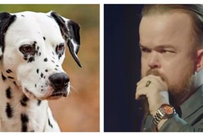 Карлик против далматина