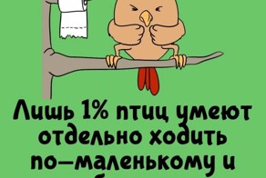 А вдруг ты не знал…