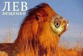 Скрины из соцсетей            