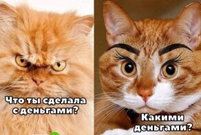 Не ищите здесь смысл. Здесь в основном маразм