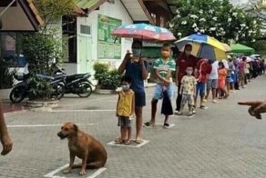 20 животных, которых подловили в забавных ситуациях