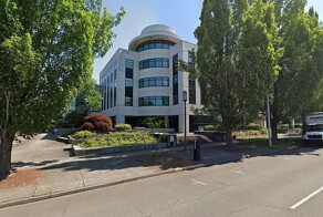 В США член совета по психическому здоровью считает себя черепахой