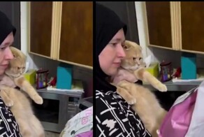 "Мой котик мусульманин": как мусульманка борется с мясным заговором в Москве