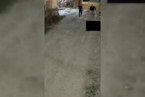 Голый воин с тяпкой
