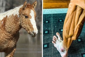 25 уникальных фотоснимков с удивительными созданиями природы и творениями рук человеческих