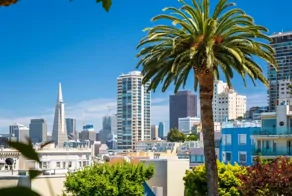 Депутат из Вологды предложил россиянам "скинуться" и выкупить Калифорнию