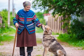 "Это те же иждивенцы": в Госдуме предложили выплачивать пенсионерам пособие по уходу за домашними питомцами