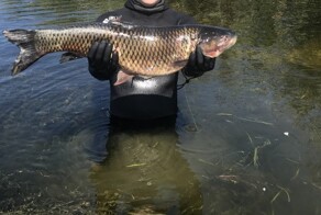 Всё вразнобой&nbsp;