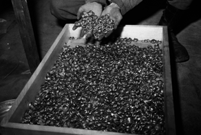 Другой Ленд-Лиз