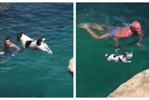 Пёс полюбил плавать с хозяином в море
