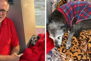 Бездомный пёс поселился на заправке, и теперь целый город заботится о нём