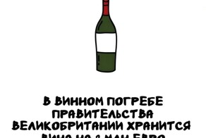 А вдруг ты не знал…