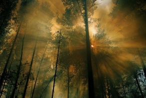 Лучшие фотографии от National Geographic за 2012 год (32 фото)
