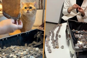 Недовольная женщина заплатила управляющей компании мелкими монетами
