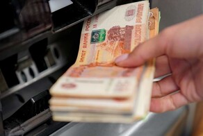 Мачеха похитила 3 миллиона рублей, собранных на лечение мальчика, которому хаски разорвали лицо в Сочи