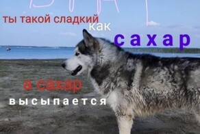  Намешалось 