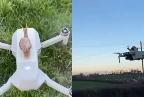 Полёт улитки на дроне