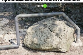 Скрины из соцсетей